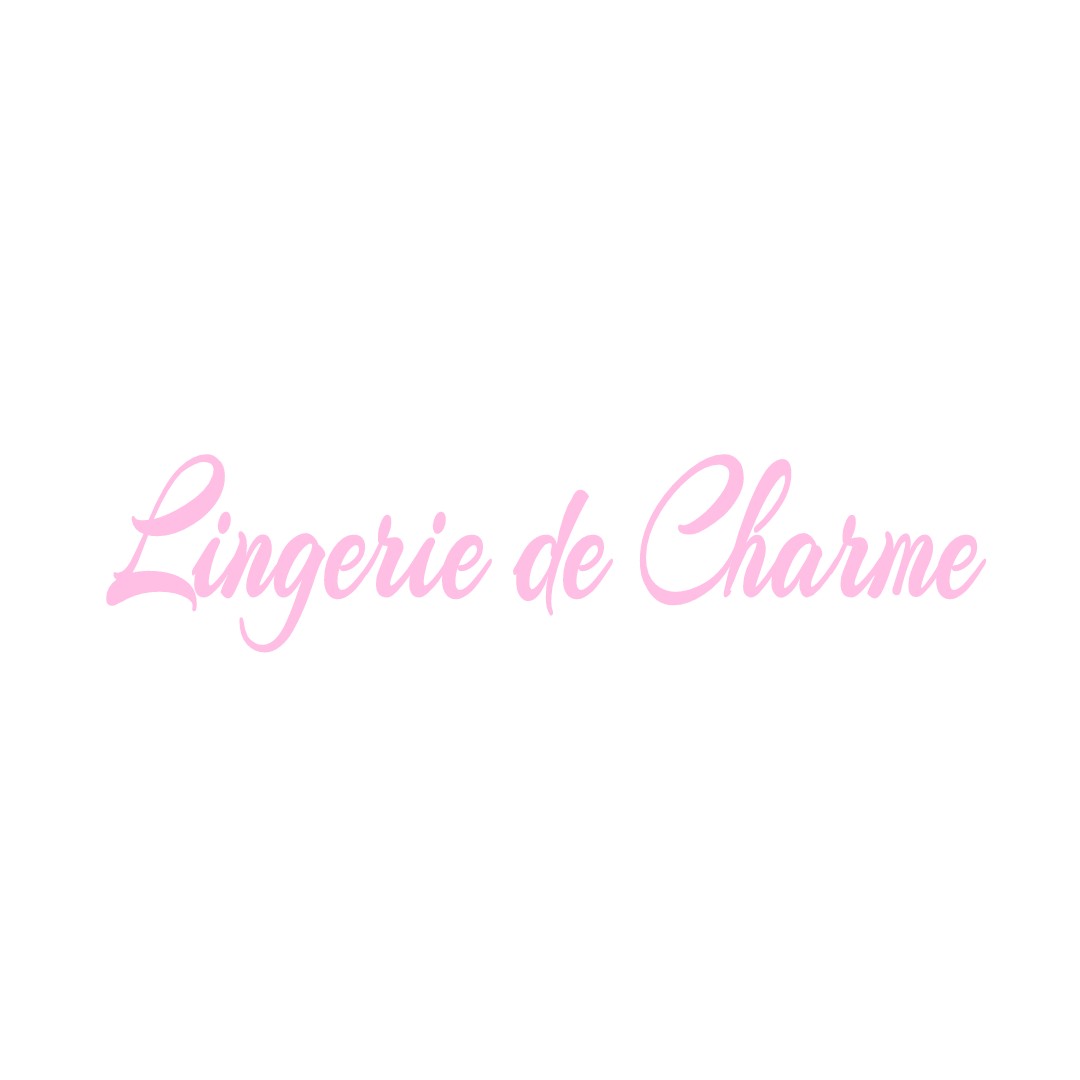 LINGERIE DE CHARME CURZAY-SUR-VONNE
